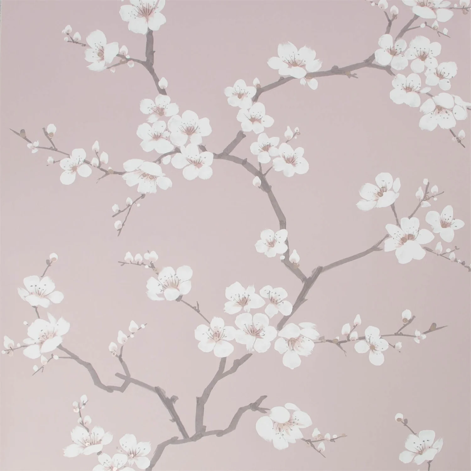 Fresco Apple Blossom Wallpaper - Pink 1 Fresco Apple Blossom Wallpaper - Pink