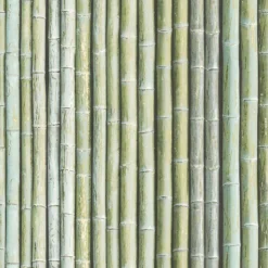 Organic Textures Bamboo Green Wallpaper